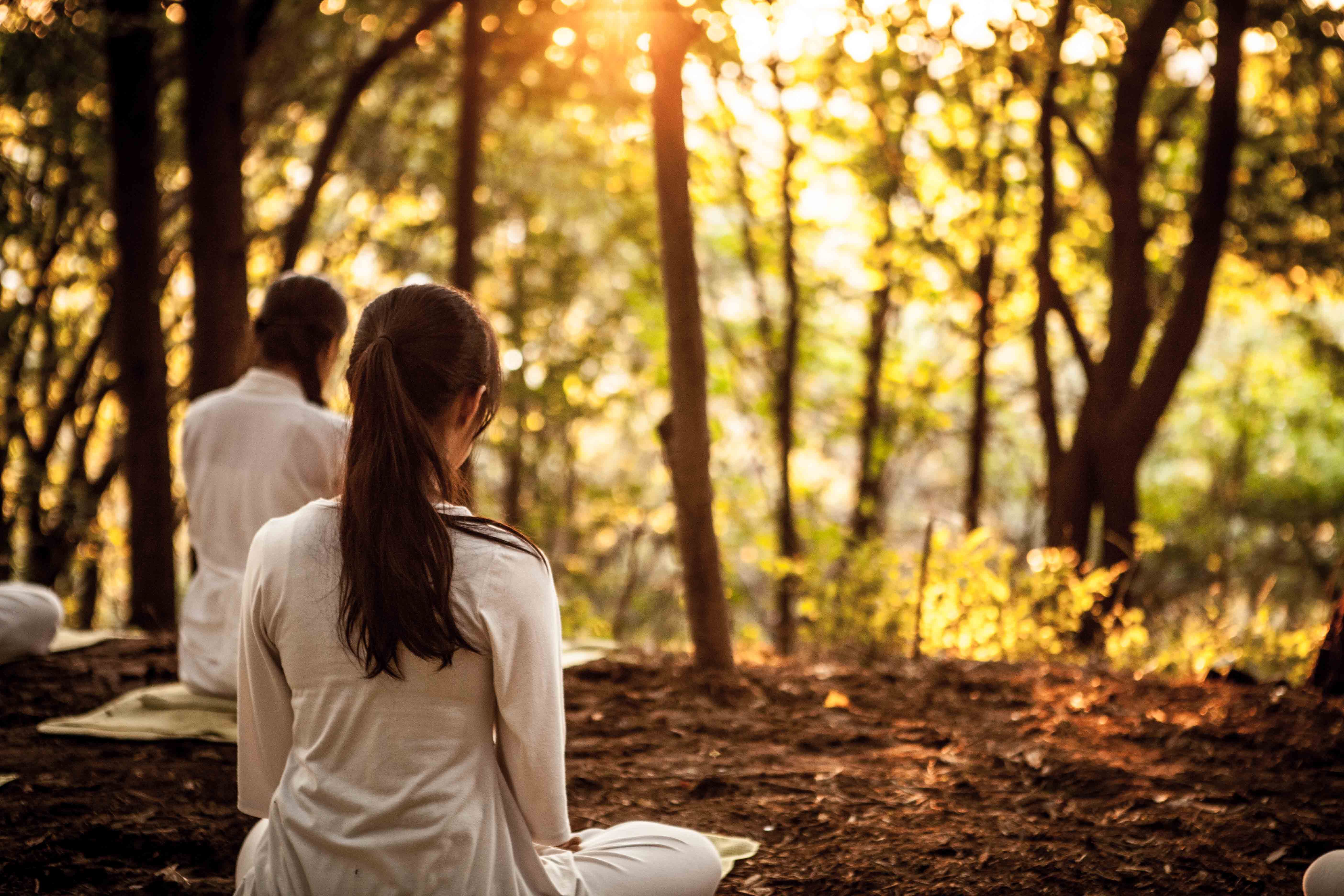 A group meditation session at sunset in a forest